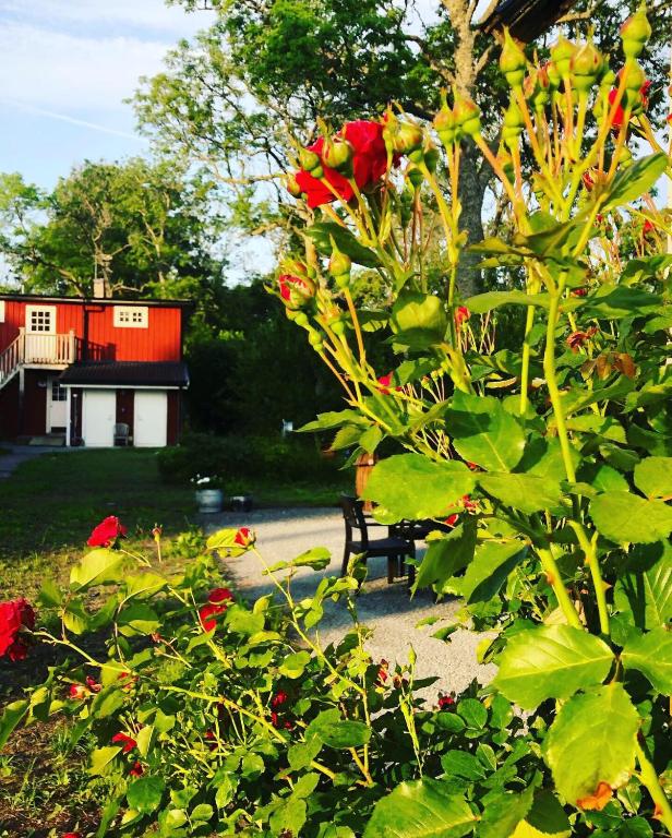 Zahrada ubytování Pensionat Haga Öland