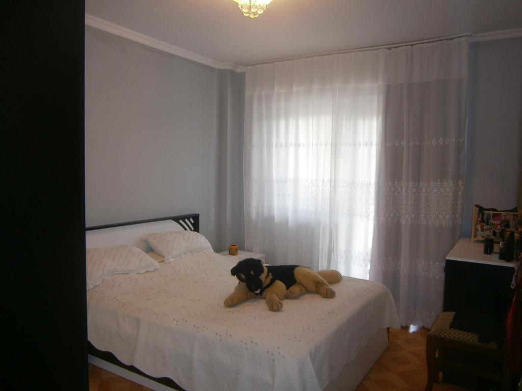 a dog sitting on a bed with a teddy bear at Black Sea in K'obulet'i