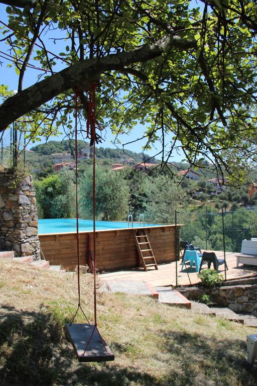 a swing in a tree with a swimming pool at Agriturismo OlivArancio in Leivi