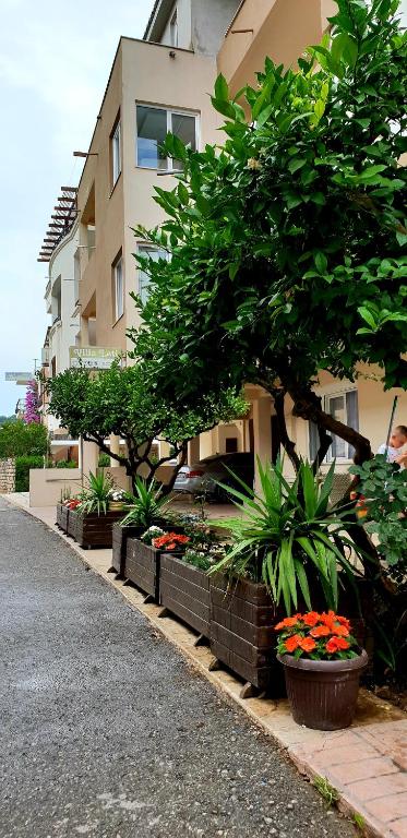 a building with a bunch of plants and trees at Apartments Lati in Ulcinj