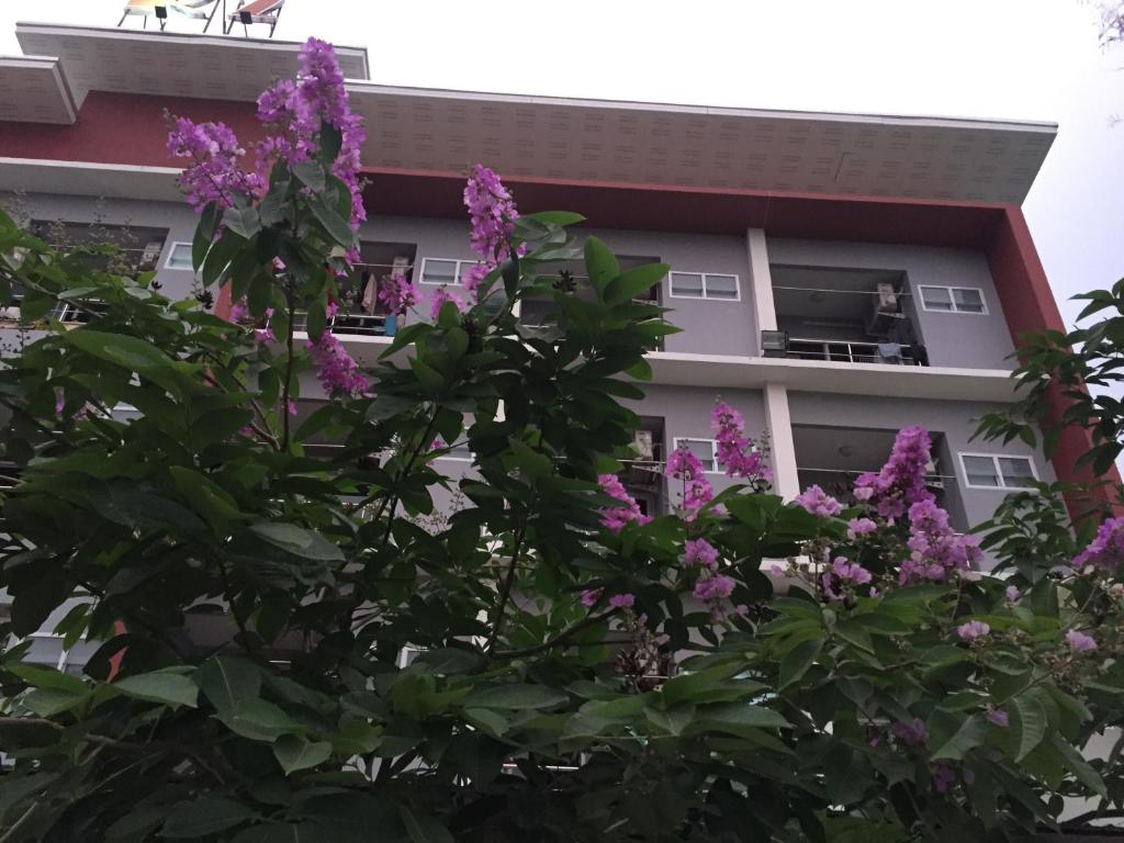 Zahrada ubytování R2 Apartment Service