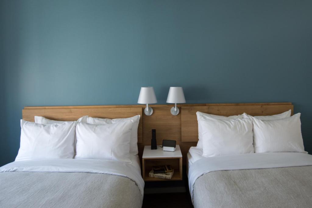 The Study at Yale, Study Hotels - Sala De Luxo Com Duas Camas De Casal
