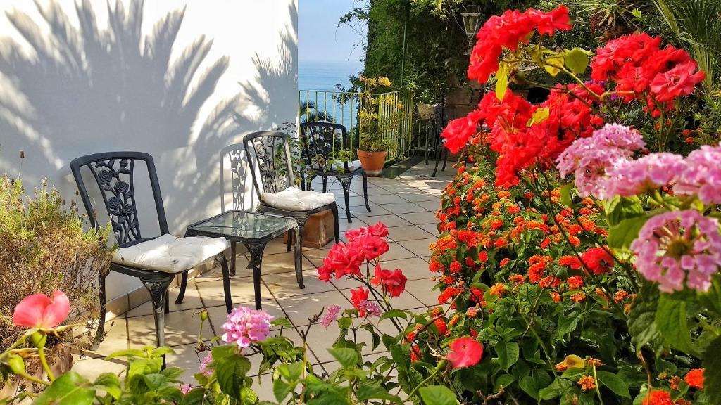 Zahrada ubytování Hotel Desiree