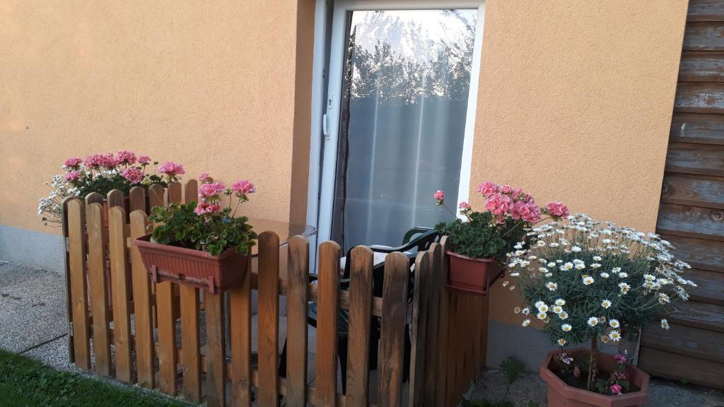 Zahrada ubytování Haus Sonja