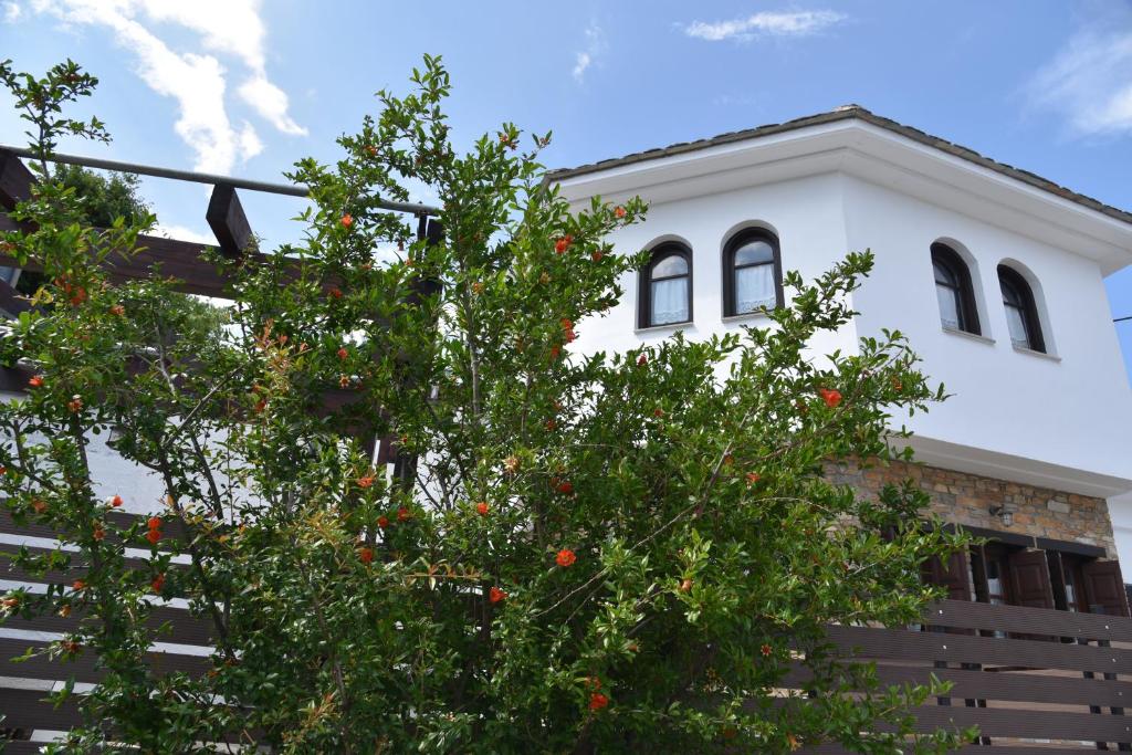 an orange tree in front of a white building at Karpofora Traditional Guesthouse in Miléai