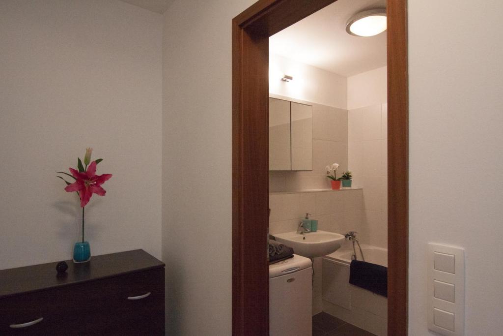 A bathroom at Juls Apartment next to football and hockey stadium