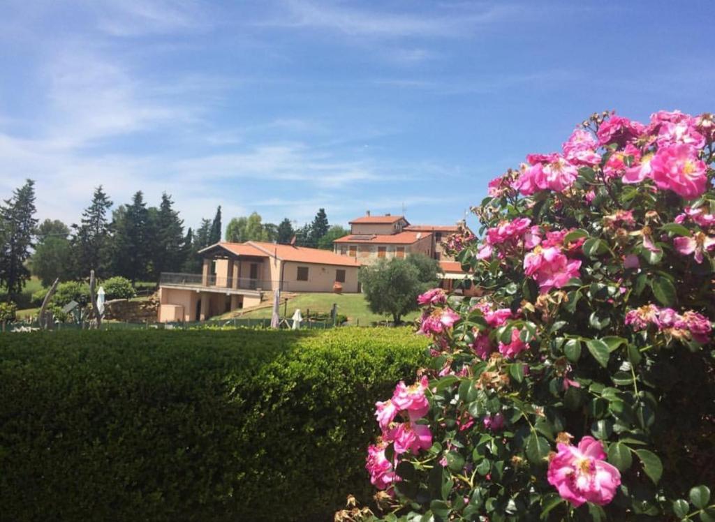 Zahrada ubytování Agriturismo Diaccialone