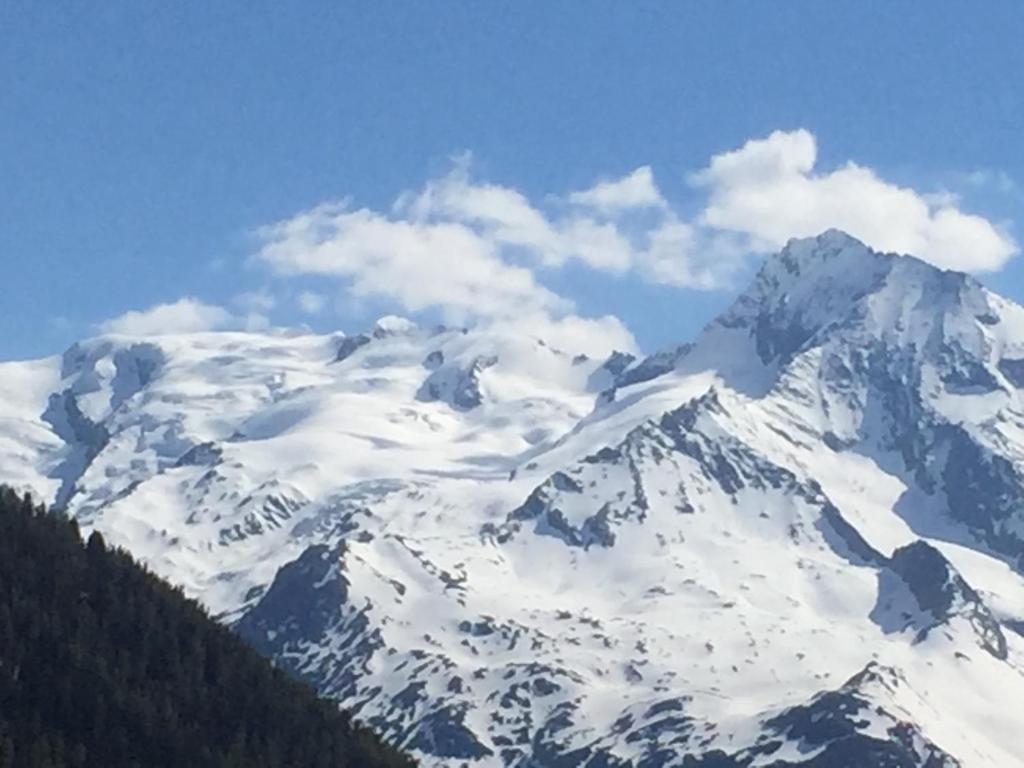 a snow covered mountain with trees in the foreground at Le petit Saint Bernard in Sainte-Foy-Tarentaise