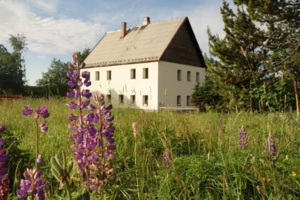 una casa en medio de un campo con flores en Chata Krušnohorka en Kovářská