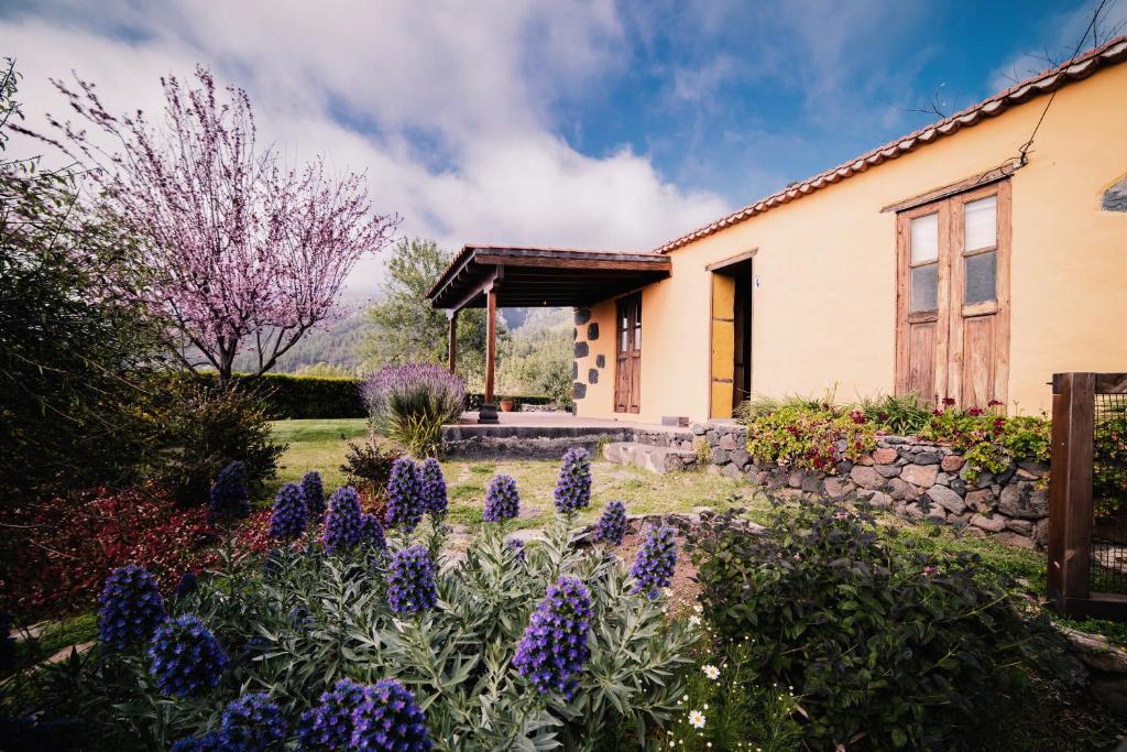 un jardín frente a una casa con flores púrpuras en Casa Elena, en Tijarafe