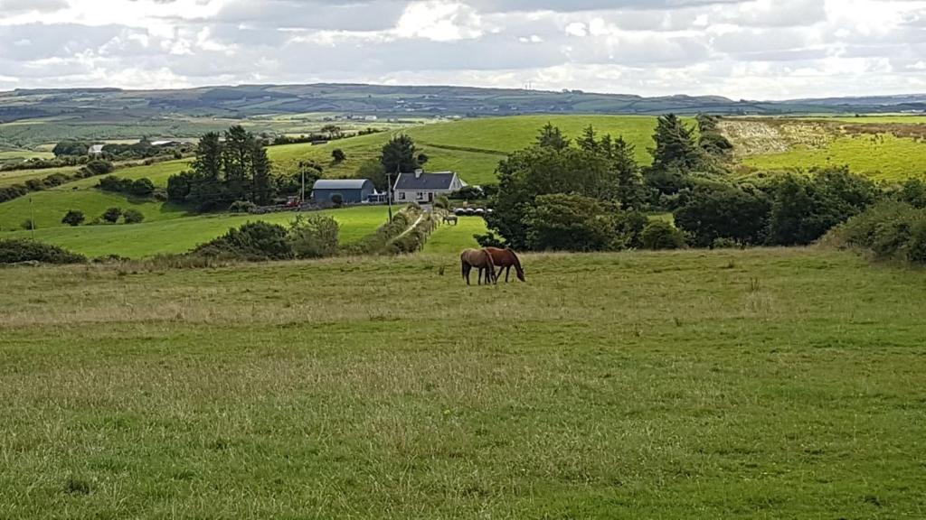 Lahinch View