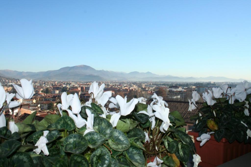 Casa Vacanza Fontana Del Delfino - 14