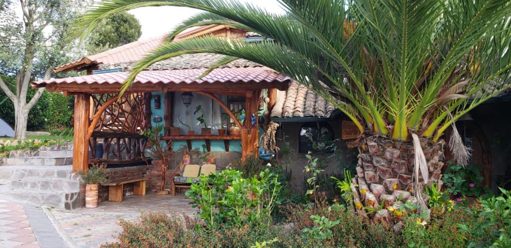 Zahrada ubytování Zaysant Ecolodge