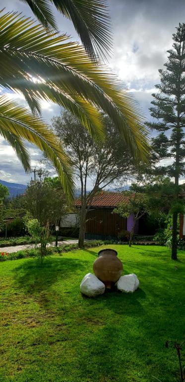 Zahrada ubytování Zaysant Ecolodge