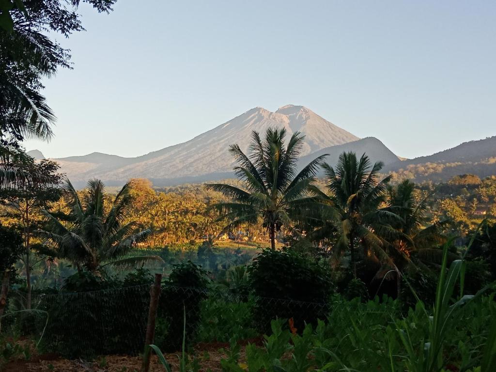 een berg in de verte met palmbomen op de voorgrond bij Mudung Keramat Homestay in Sapit