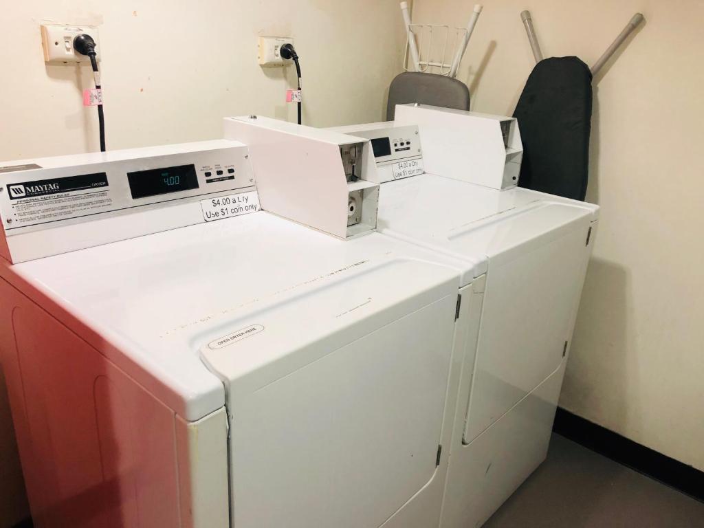 ibis budget Sydney Airport - Resim 35