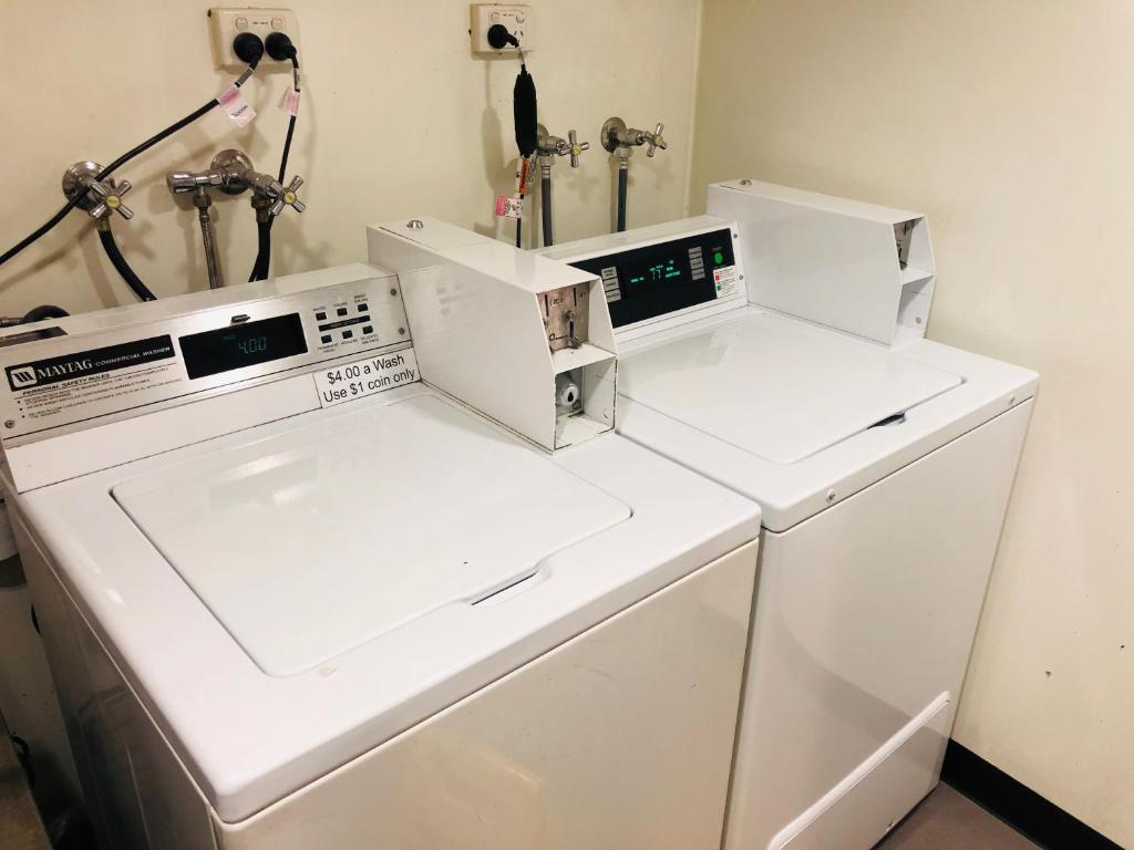 ibis budget Sydney Airport - Resim 36