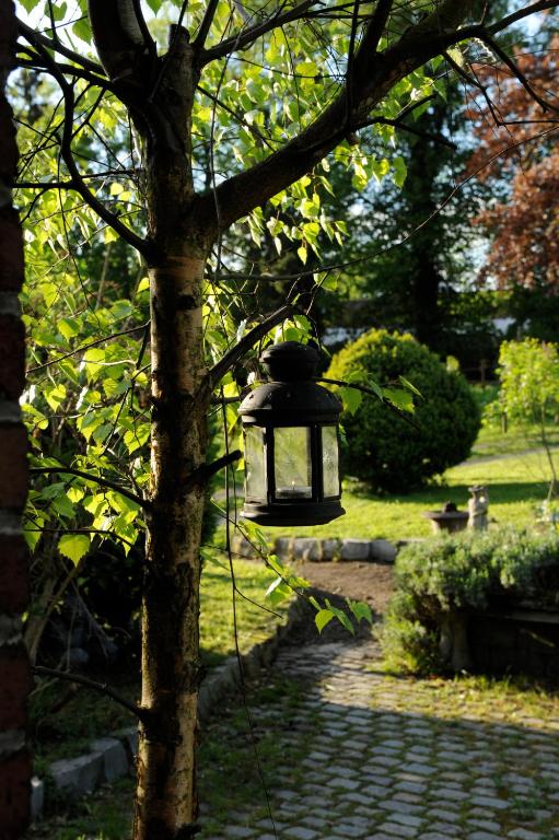 Zahrada ubytování B&B Le Manoir d'Ange