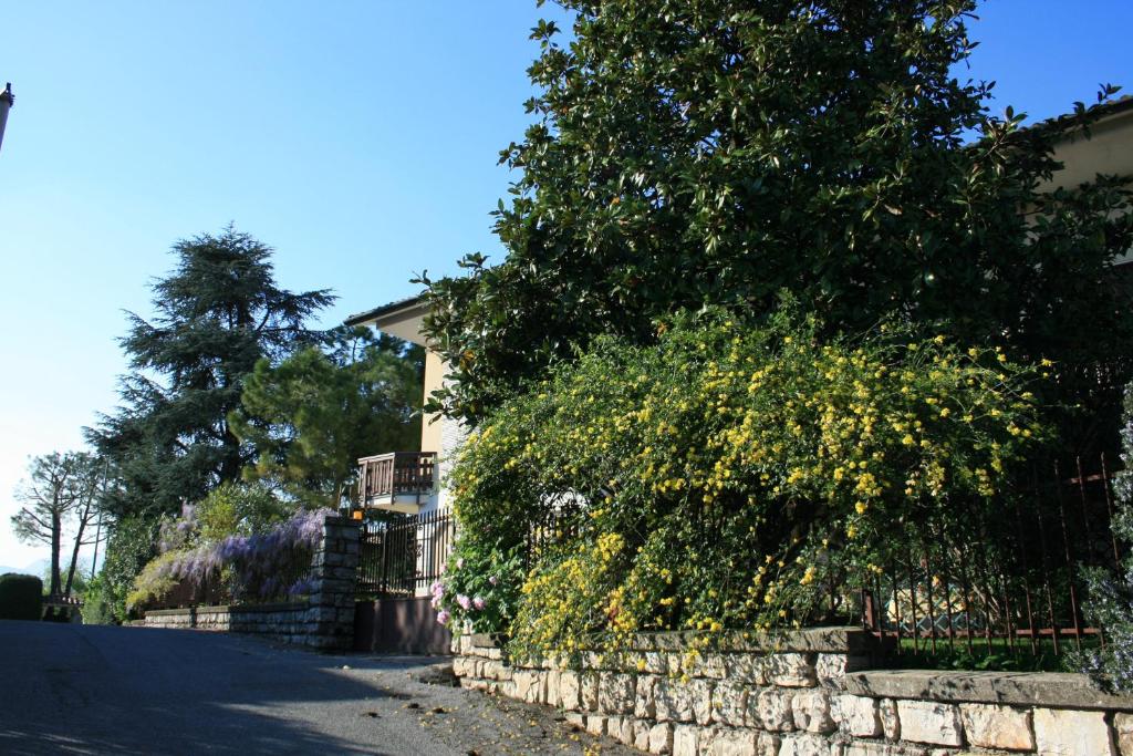 Zdjęcie z galerii obiektu B&B Il Glicine w mieście bedizzol