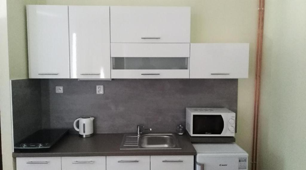 Kuchyň nebo kuchyňský kout v ubytování Apartmány Divoký Anděl