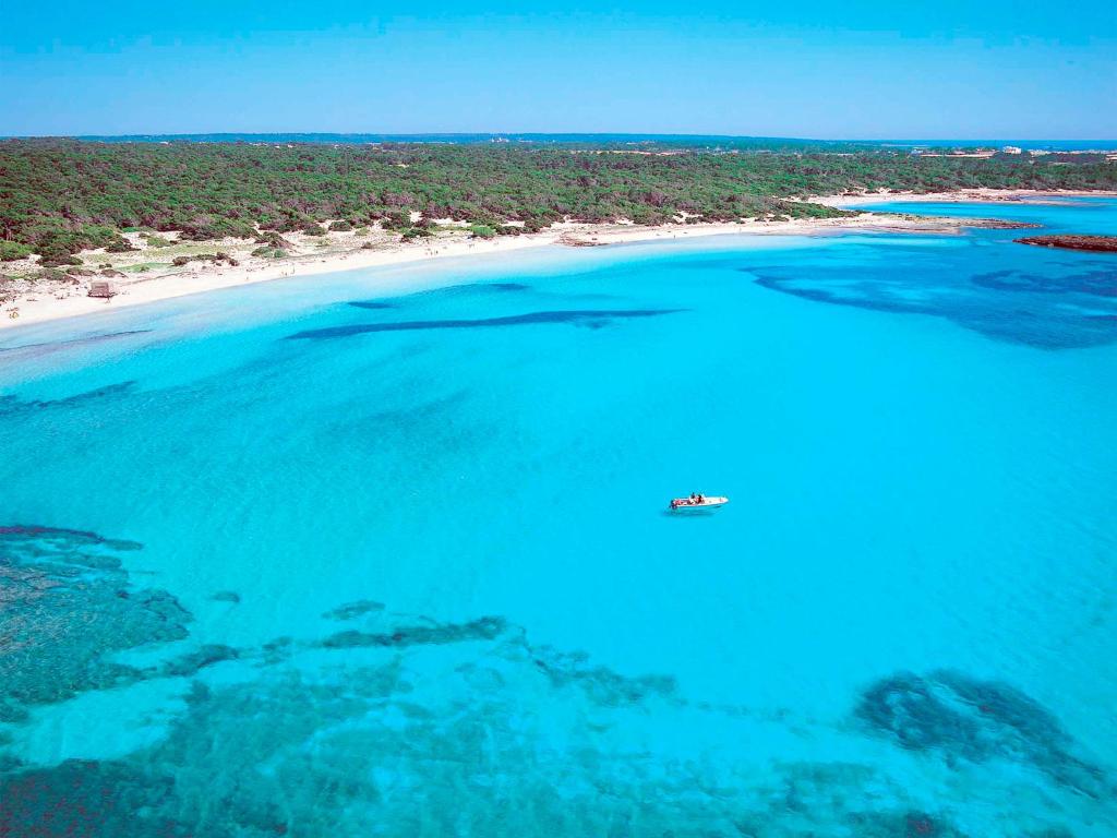 an aerial view of a beach with a boat in the water at Cas Ferrer Nou Hotelet in Alcudia
