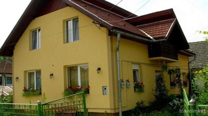 Casa amarilla con techo marrón y ventanas en PENSIUNEA BIO, en Coltău