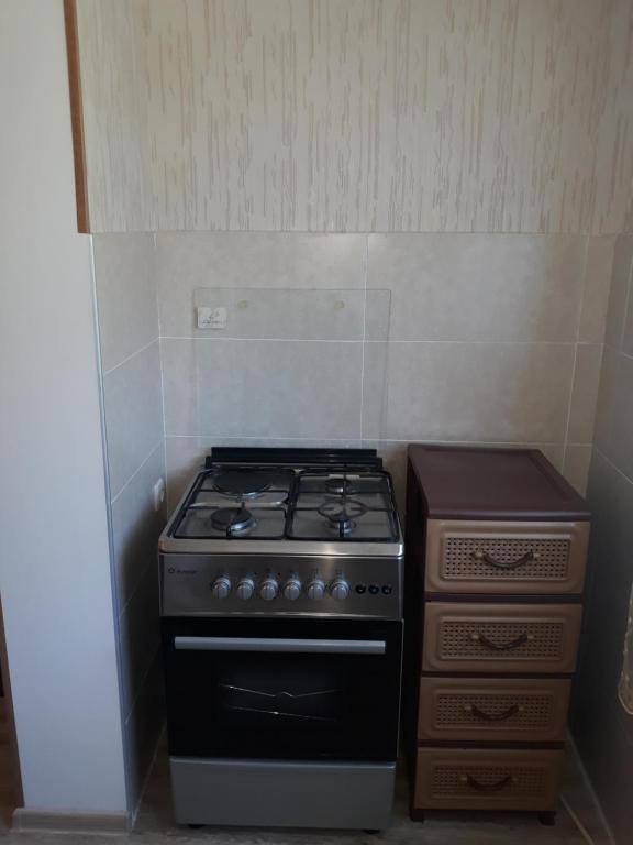 Kuchyň nebo kuchyňský kout v ubytování Guest House Borjomi
