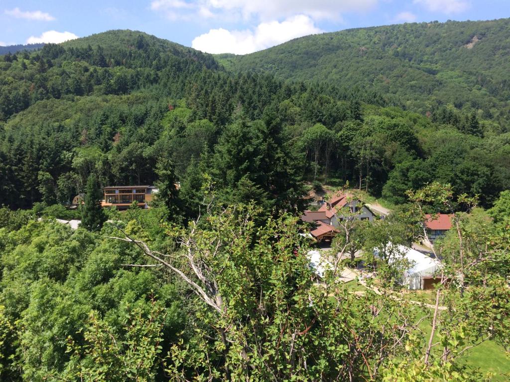 a house in the middle of a forest with mountains at Domaine du Hirtz, Restaurant &amp; Spa in Wattwiller