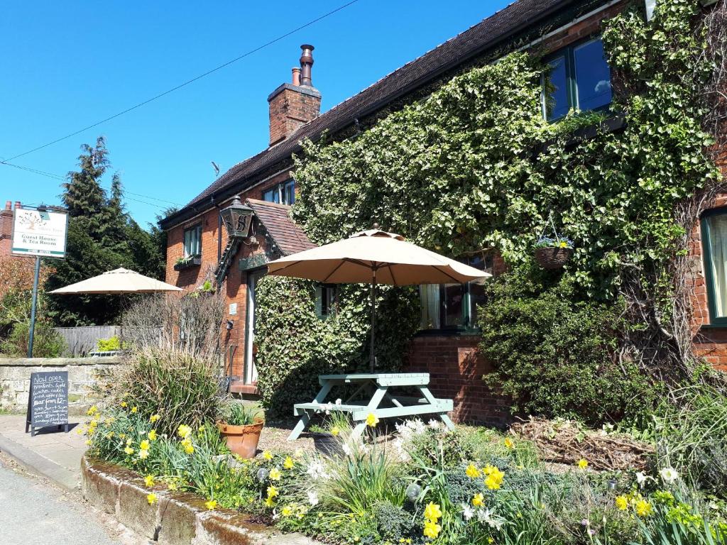 a picnic table with an umbrella in front of a building at Olive Tree Guest House in Uttoxeter