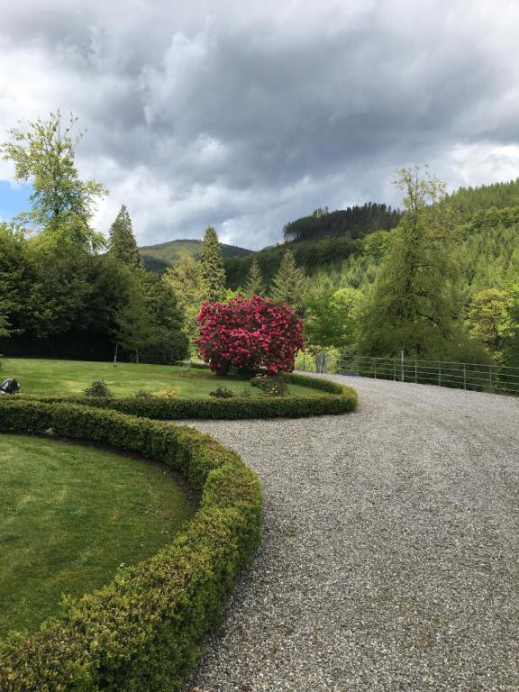 Loodusmaastik of the country house lähedal