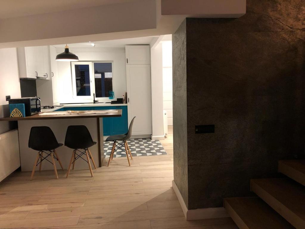 Kuchyň nebo kuchyňský kout v ubytování Lascăr Catargiu Vila