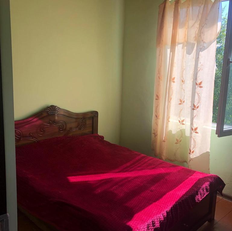 Postel nebo postele na pokoji v ubytování Guest House Malkhaz Niguriani