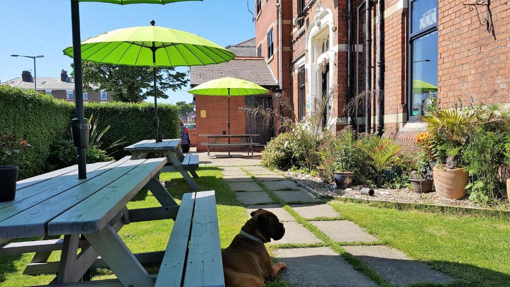 a dog sitting next to a picnic table with an umbrella at The Mon Fort in Bridlington