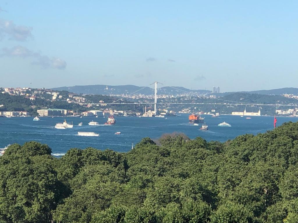 a view of the san francisco bay and the golden gate bridge at Albatros Hagia Sophia Hotel in Istanbul