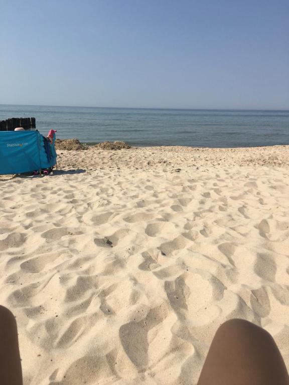 Príroda v okolí dovolenkového domu