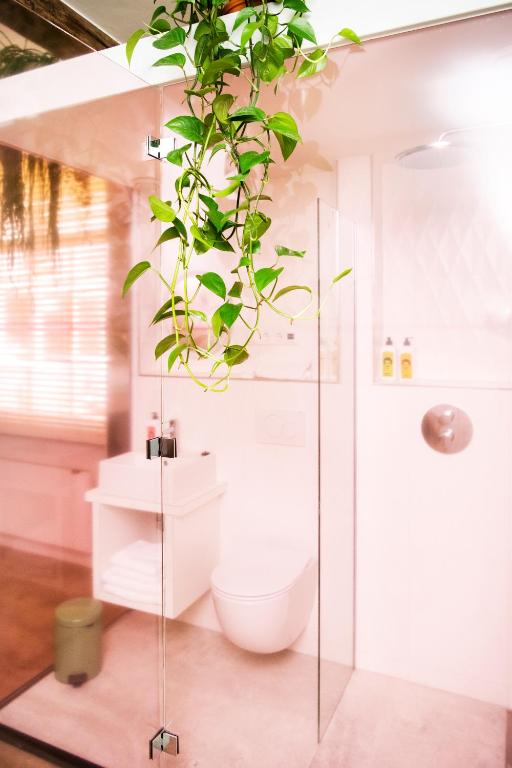 Hotel Bruno - Resim 15