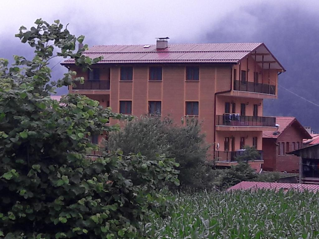 a building on a hill next to a field at Salegan Pansiyon in Uzungöl