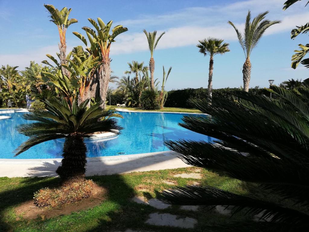Dorasal, Playa de Xeraco – Updated 2022 Prices