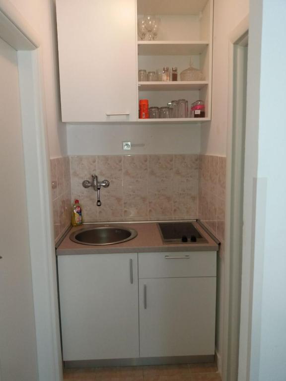 Kuchyň nebo kuchyňský kout v ubytování Apartment Fortuna