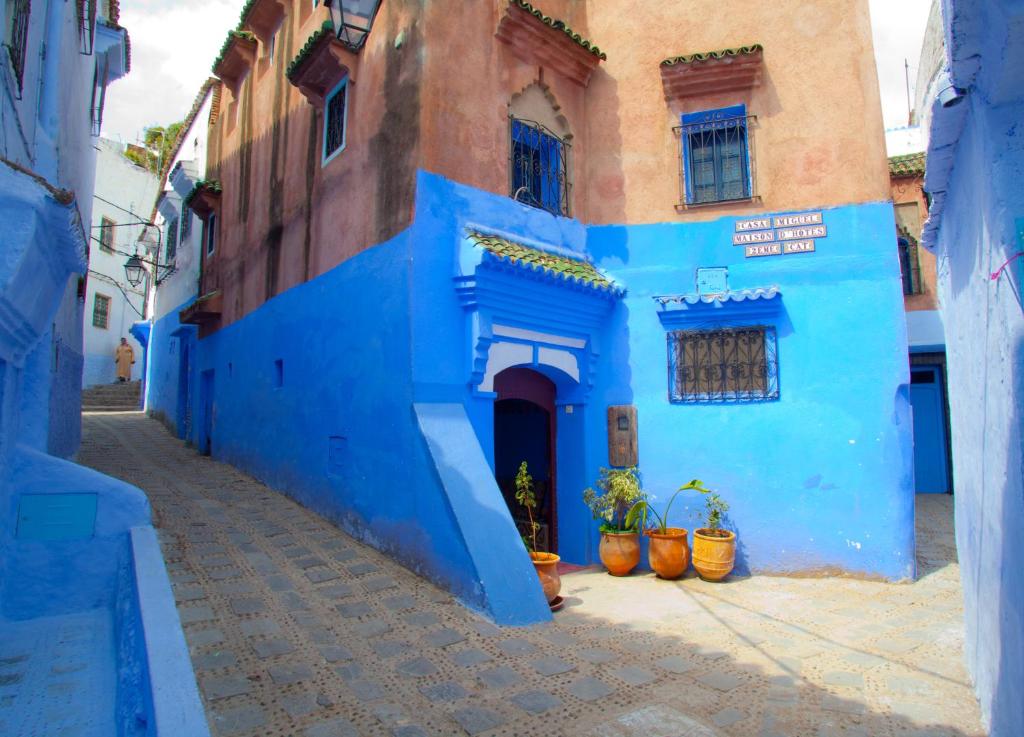 a blue building with potted plants in front of it at Hotel Casa Miguel in Chefchaouene