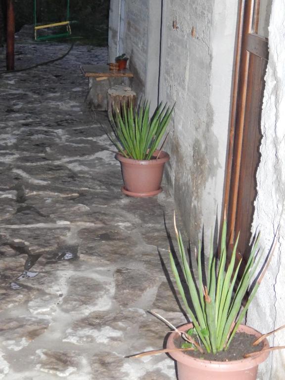 Fotografie z fotogalerie ubytování Arami Guest House v destinaci Dilidžan