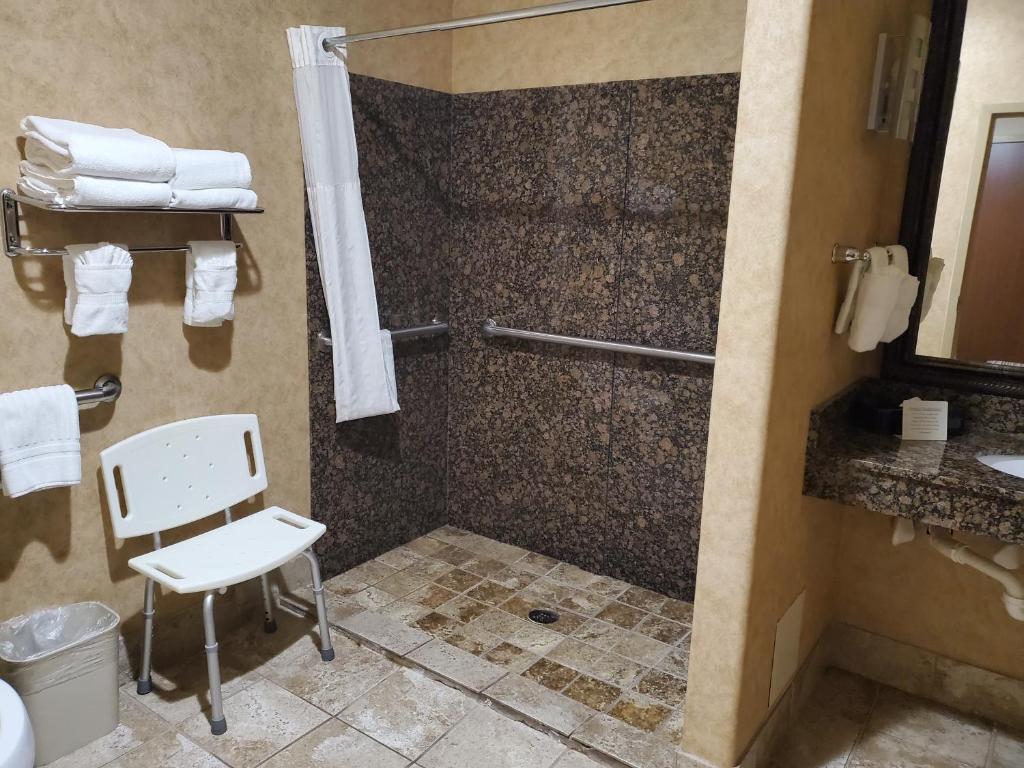 Comfort Suites At Kennesaw State University - King Suite - Disability Access/Non-Smoking