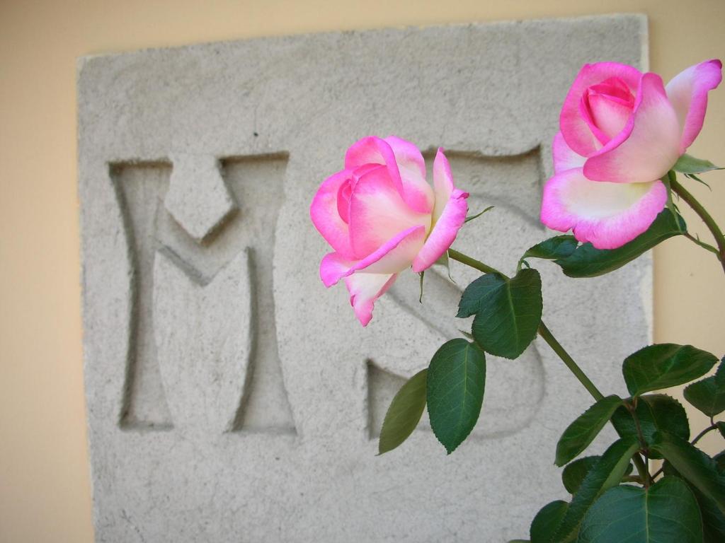 Gallery image of Agriturismo Manetti in Montespertoli