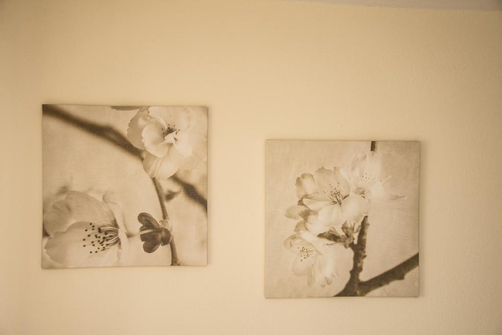 ELYSIUM - villa majken - 12