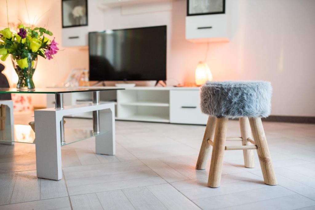TV a/nebo společenská místnost v ubytování Apartments MARIO