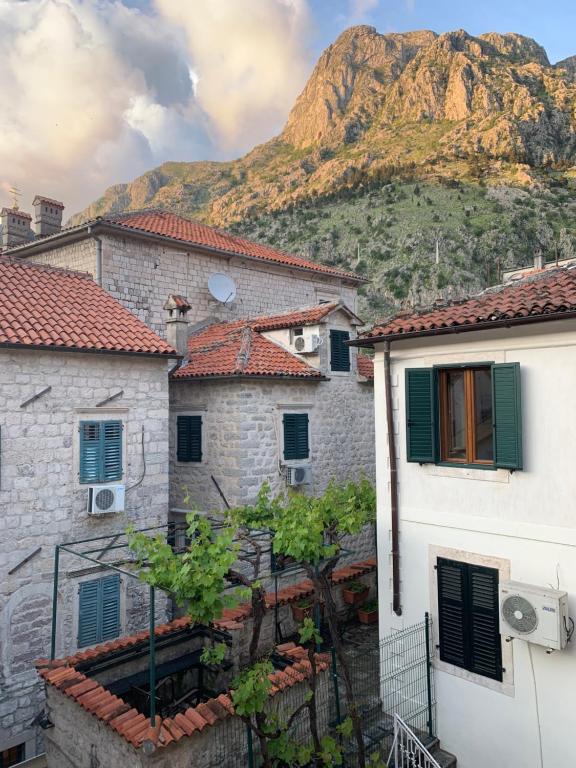 a group of buildings with a mountain in the background at Apartments Leo in Kotor