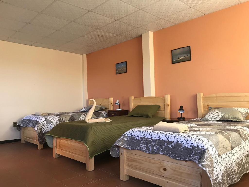 two beds in a room with orange walls at Cittadella Hostal in Sucre