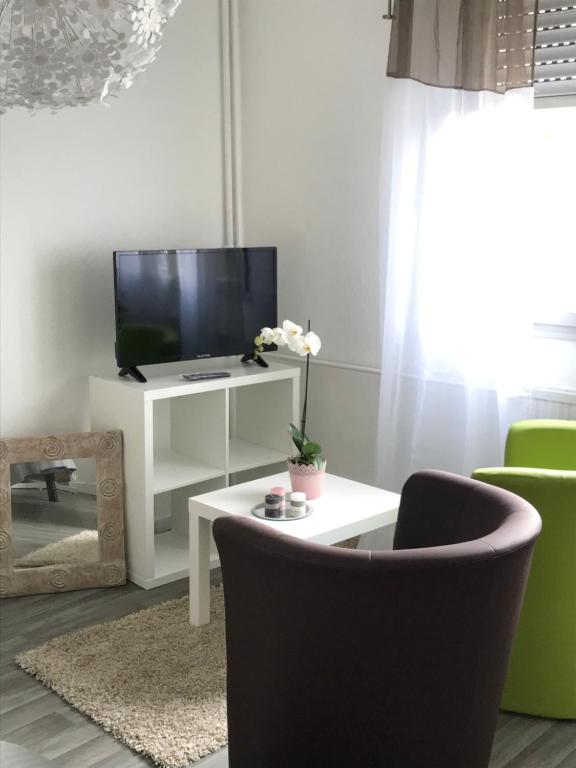 a living room with a tv and a chair and a table at Studio 5 Near Basel Airport in Saint-Louis