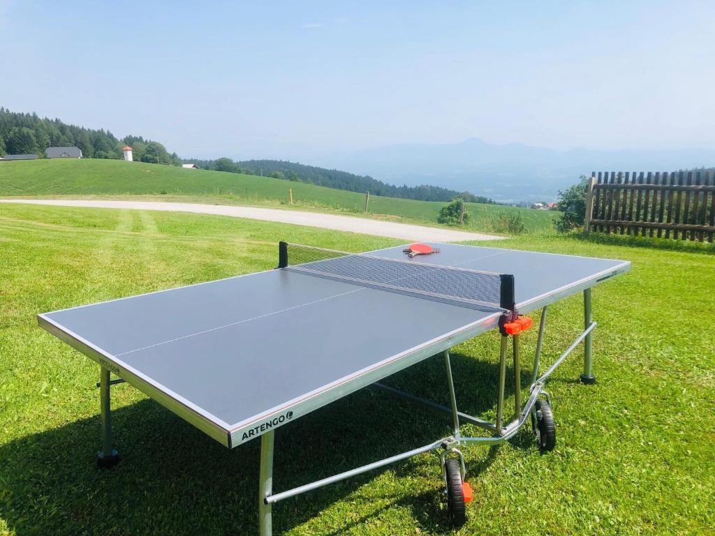 Stolní tenis v ubytování Apartments Planina pod Sumikom nebo okolí