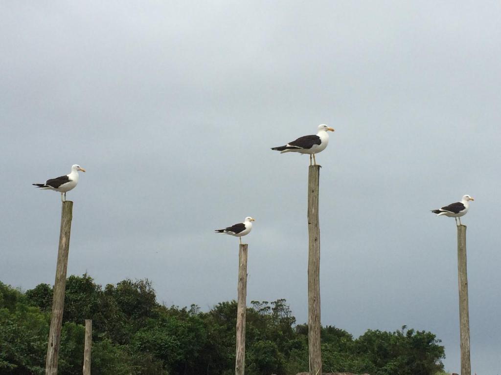  Guaraú Praia Suítes